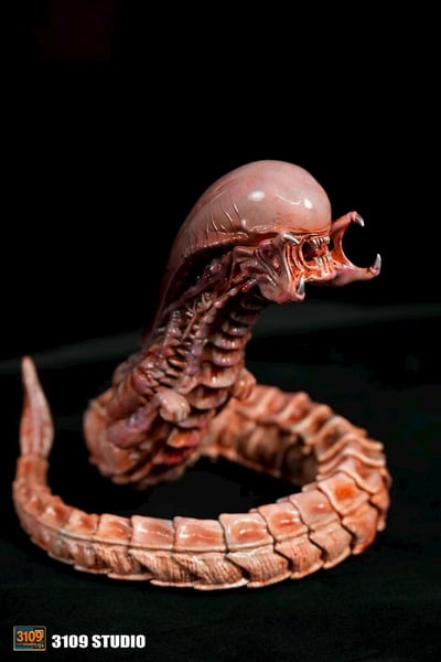 【異形】3109工作室-異形大戰鐵血戰士 破胸異形3