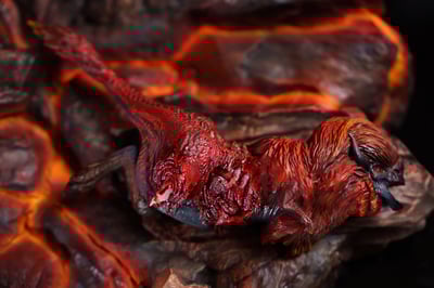 【魔物獵人】BlackFatalisStudio-魔物獵人 轟龍 MonsterHunter Tigrex﻿18