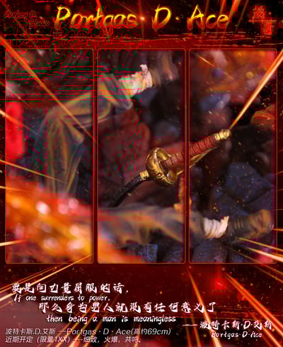 【海賊王】漫奇工作室-海賊王系列 火之意志 波特卡斯.D.艾斯10