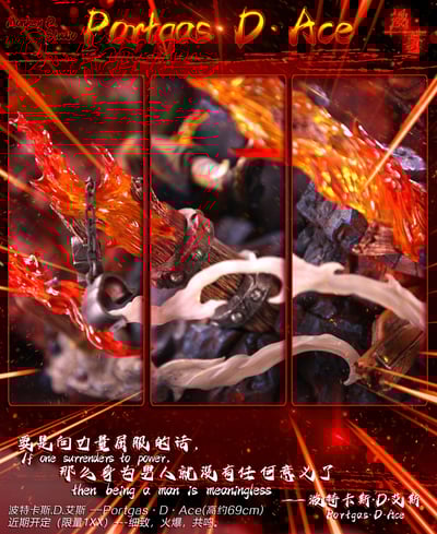 【海賊王】漫奇工作室-海賊王系列 火之意志 波特卡斯.D.艾斯12