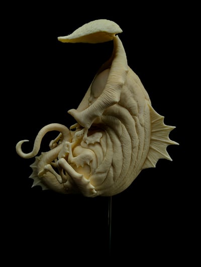 【原創授權】滄溟工作室-捕蠅蟲3