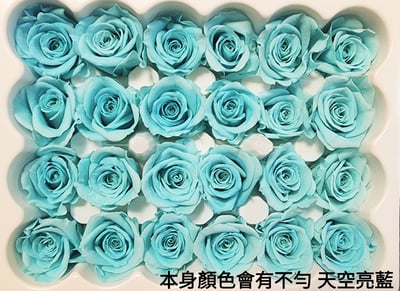 2-2cm多矮小迷你玫瑰❁素色 28色❁（8/7已更新）11