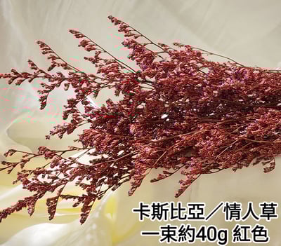 卡斯比亞/情人草8