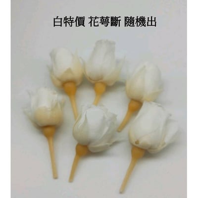 ❁大地農園EARTH MATTERS❁1-2cm花蕾7