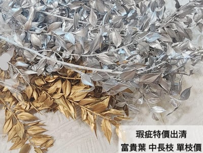 【瑕疵出清特價】富貴葉/樺木葉1