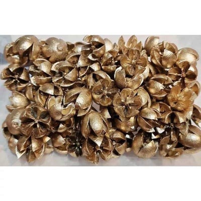 木荷果/開心果/開口笑果實/十字果10