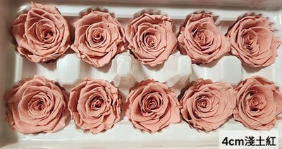4cm玫瑰❁素色 22色❁(8/7已更)10