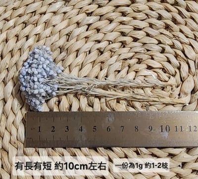 ❁米花 米香 米香花 小米花❁（9／14）2