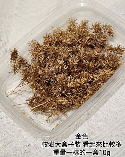 ♫蓬萊松/壽松♫11