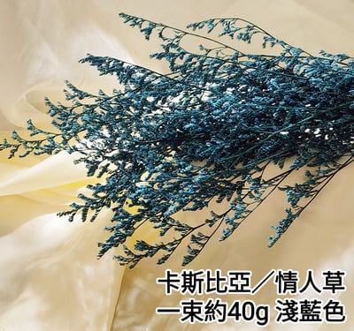 卡斯比亞/情人草3