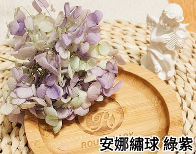 ★安娜繡球 亞特蘭繡球 單色雙色(6/30已更新)5