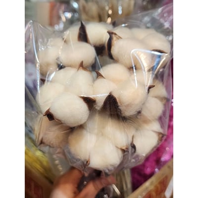 ☆棉花頭帶桿☆11