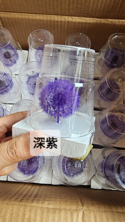 ❀蒲公英❀（7／25已更新）17