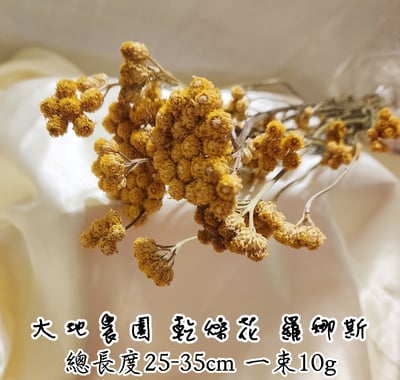 ❁大地農園EARTH MATTERS❁羅娜斯1