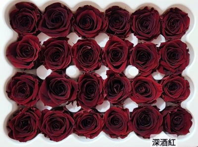 2-2cm多矮小迷你玫瑰❁素色 28色❁（8/7已更新）4