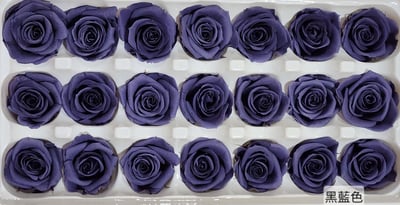 2-3偏3CM玫瑰❁素色 33色❁20