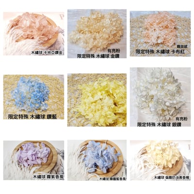 ★木繡球 單色 雙色 限定色★（8／7已更新）7