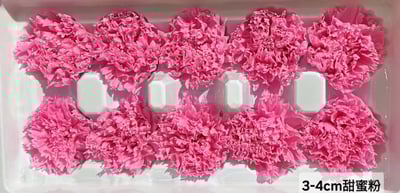 3-4cm康乃馨❁素色/特殊色 3色❁(4/21已更新)6