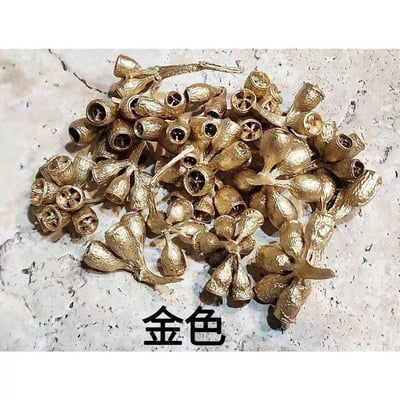 ❈琥珀果/殭屍果❈5