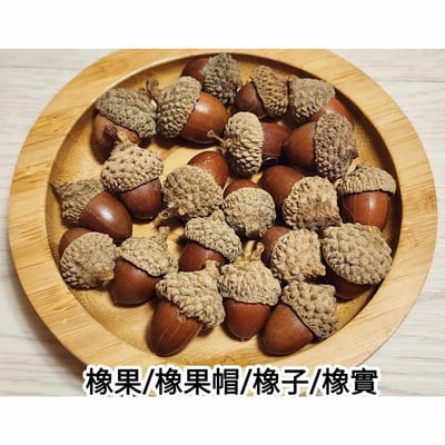 橡果/橡果帽/橡子/橡實（7／30已更新）1