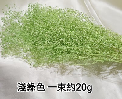 ❁霞草/百萬星❁5