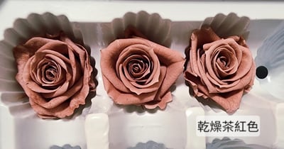 3.5-4cm玫瑰❁素色 27色❁(8/7已更)17