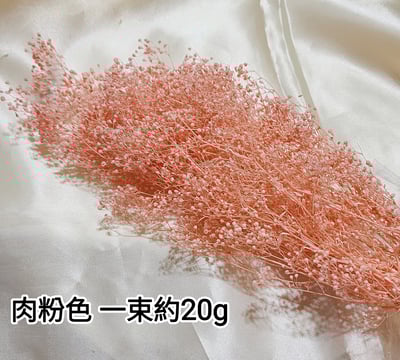 ❁霞草/百萬星❁6