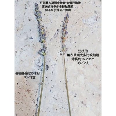 ✿乾燥花 薰衣草✿2