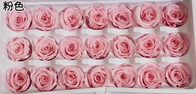 2-3偏3CM玫瑰❁素色 33色❁25