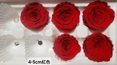 4-5cm玫瑰❁素色/特殊色 11色❁(7/27已更)6