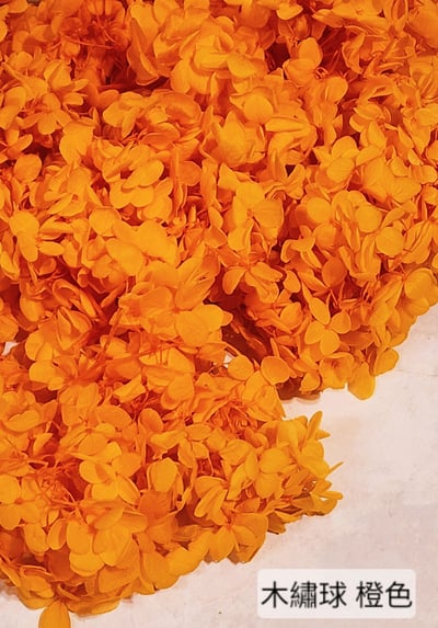★木繡球 單色 雙色 限定色★（8／7已更新）23