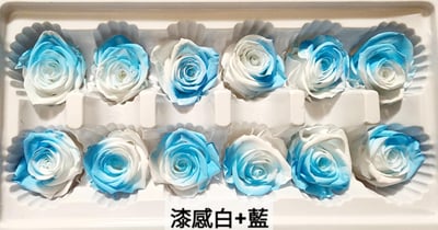 3.5-4cm玫瑰❁特殊色 4色❁(7/25已更)5