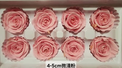 4-5cm玫瑰❁素色/特殊色 11色❁(7/27已更)7