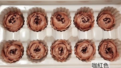 ❁3cm/3-4cm蝴蝶奧斯汀/庭園奧斯汀❁（7／25已更新）8