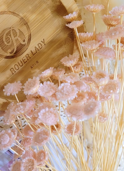 ❁大地農園EARTH MATTERS❁瑪格麗特Margaret2