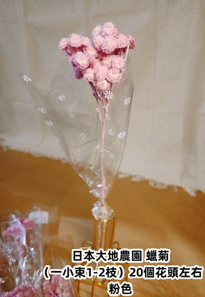 ♫大地農園/東北花材 蠟菊♫8