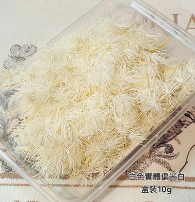 ♫蓬萊松/壽松♫13