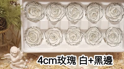 4cm玫瑰❁特殊色 2色❁(7/27已更)2