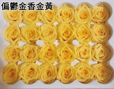 2-2cm多矮小迷你玫瑰❁素色 28色❁（8/7已更新）23