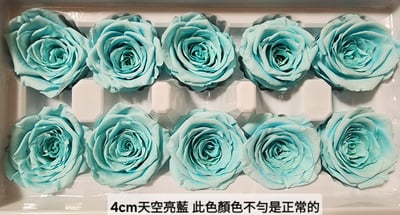 4cm玫瑰❁素色 22色❁(8/7已更)12