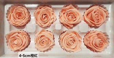 4-5cm玫瑰❁素色/特殊色 11色❁(7/27已更)5