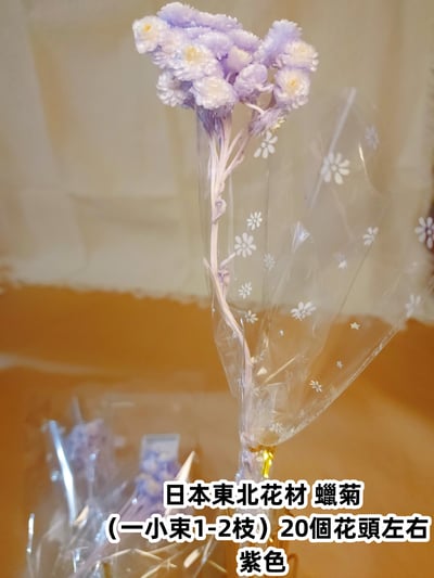 ♫大地農園/東北花材 蠟菊♫7