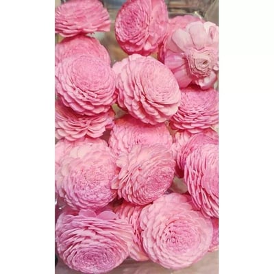 ♫無芯菊索拉花♫12