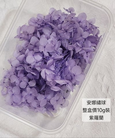 ★安娜繡球 亞特蘭繡球 單色雙色(6/30已更新)13