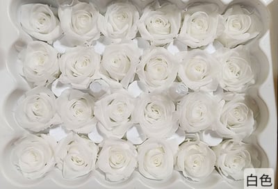 2-2cm多矮小迷你玫瑰❁素色 28色❁（8/7已更新）15