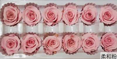 3.5-4cm玫瑰❁素色 27色❁(8/7已更)12