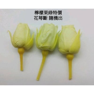 ❁大地農園EARTH MATTERS❁1-2cm花蕾10