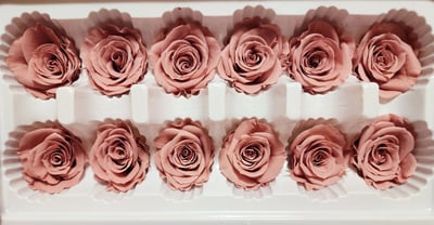 3.5-4cm玫瑰❁素色 27色❁(8/7已更)4