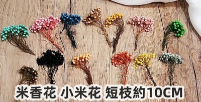 ❁米花 米香 米香花 小米花❁（9／14）1