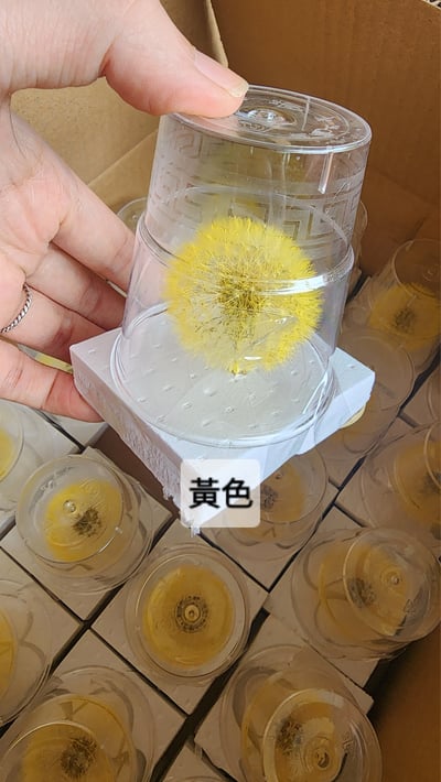 ❀蒲公英❀（7／25已更新）14